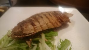 珍獣屋 オオグソクムシ