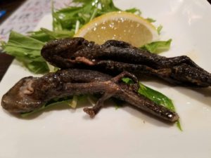 珍獣屋 ウーパールーパー