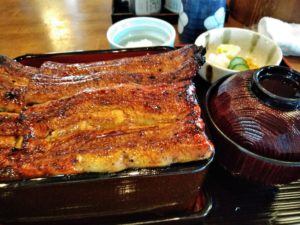 島田 うな一 鰻重